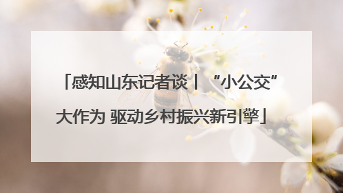 感知山东记者谈丨“小公交”大作为 驱动乡村振兴新引擎