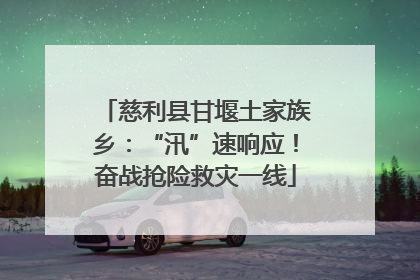 慈利县甘堰土家族乡：“汛”速响应！奋战抢险救灾一线