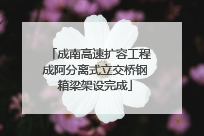 成南高速扩容工程成阿分离式立交桥钢箱梁架设完成