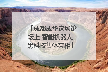 成都成华这场论坛上 智能机器人黑科技集体亮相