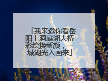 我来邀你看岳阳丨洞庭湖大桥彩绘换新颜，一城湖光入画来