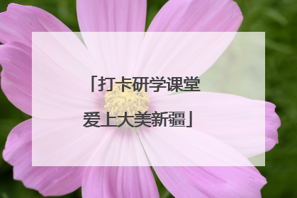 打卡研学课堂 爱上大美新疆