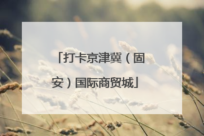 打卡京津冀（固安）国际商贸城