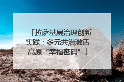 拉萨基层治理创新实践：多元共治激活高原“幸福密码”