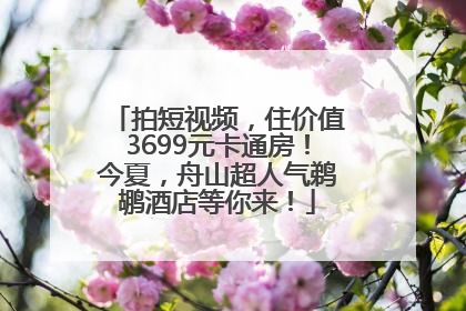 拍短视频，住价值3699元卡通房！今夏，舟山超人气鹈鹕酒店等你来！