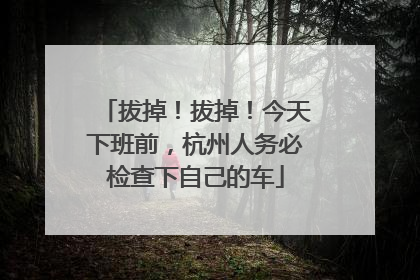 拔掉！拔掉！今天下班前，杭州人务必检查下自己的车