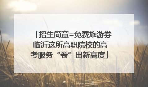 招生简章=免费旅游券 临沂这所高职院校的高考服务“卷”出新高度