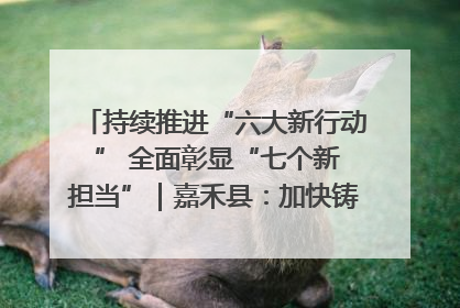持续推进“六大新行动 ” 全面彰显“七个新担当”｜嘉禾县：加快铸造行业提档升级 助力绿色高质量发展