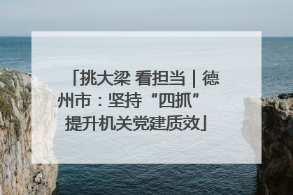 挑大梁 看担当｜德州市：坚持“四抓” 提升机关党建质效