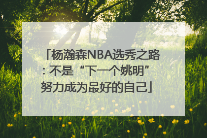 杨瀚森NBA选秀之路：不是“下一个姚明” 努力成为最好的自己