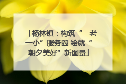 杨林镇：构筑“一老一小”服务圈 绘就“朝夕美好”新图景