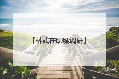 林武在聊城调研