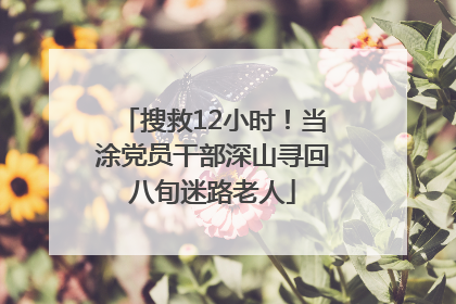 搜救12小时！当涂党员干部深山寻回八旬迷路老人