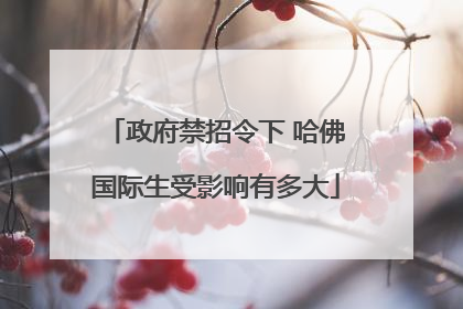 政府禁招令下 哈佛国际生受影响有多大