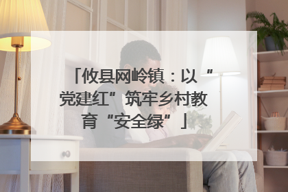 攸县网岭镇：以“党建红”筑牢乡村教育“安全绿”
