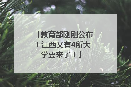 教育部刚刚公布！江西又有4所大学要来了！