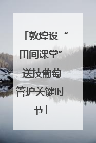 敦煌设“田间课堂” 送技葡萄管护关键时节