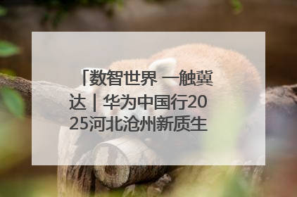 数智世界 一触冀达｜华为中国行2025河北沧州新质生产力峰会成功举办