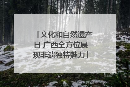 文化和自然遗产日 广西全方位展现非遗独特魅力