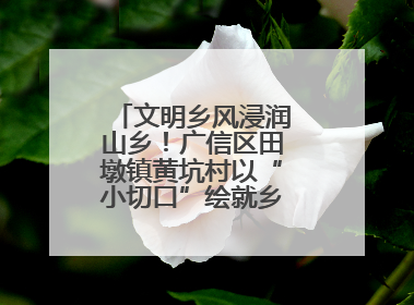 文明乡风浸润山乡！广信区田墩镇黄坑村以“小切口”绘就乡村振兴大图景