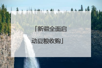 新疆全面启动夏粮收购