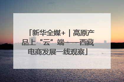 新华全媒+｜高原产品上“云”端——西藏电商发展一线观察