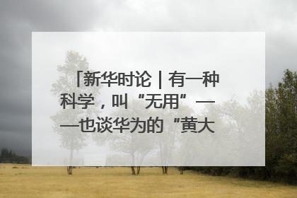 新华时论｜有一种科学，叫“无用”——也谈华为的“黄大年茶思屋”