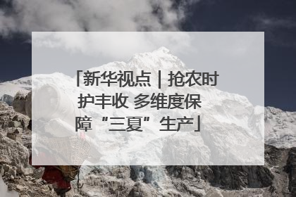 新华视点｜抢农时 护丰收 多维度保障“三夏”生产
