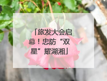 旅发大会启幕！忠防“双星”耀湖湘