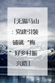 无锡马山：党建引领 铺就“梅”好乡村振兴路