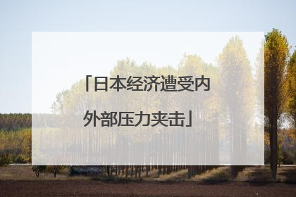 日本经济遭受内外部压力夹击