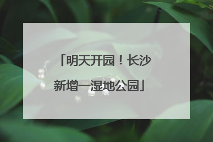 明天开园！长沙新增一湿地公园
