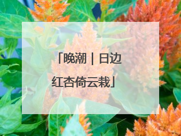 晚潮｜日边红杏倚云栽