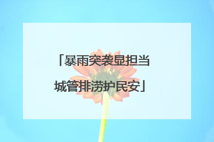 暴雨突袭显担当 城管排涝护民安