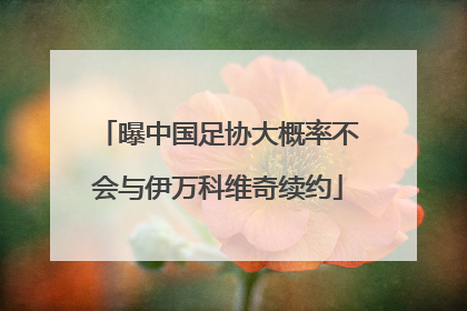 曝中国足协大概率不会与伊万科维奇续约