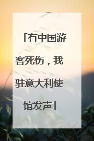 有中国游客死伤，我驻意大利使馆发声