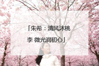 朱希：清风沐桃李 微光润初心