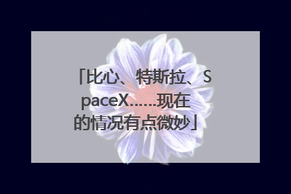 比心、特斯拉、SpaceX……现在的情况有点微妙