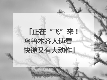 正在“飞”来！乌鲁木齐人速看 快递又有大动作