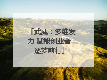 武威：多维发力 赋能创业者逐梦前行