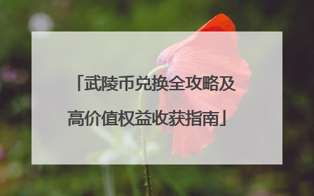 武陵币兑换全攻略及高价值权益收获指南