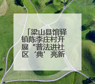 梁山县馆驿镇陈李庄村开展“普法进社区‘典’亮新生活”宣讲活动