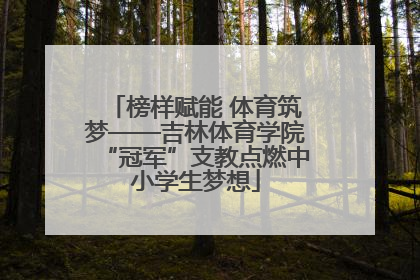 榜样赋能 体育筑梦——吉林体育学院“冠军”支教点燃中小学生梦想
