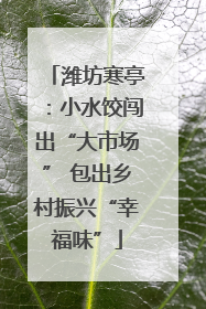 潍坊寒亭：小水饺闯出“大市场” 包出乡村振兴“幸福味”