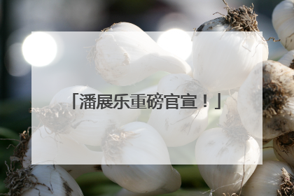 潘展乐重磅官宣！