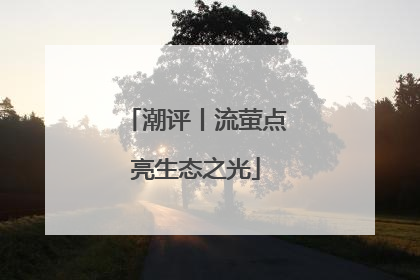 潮评丨流萤点亮生态之光