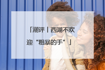潮评丨西湖不欢迎“粗暴的手”