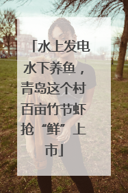 水上发电水下养鱼，青岛这个村百亩竹节虾抢“鲜”上市