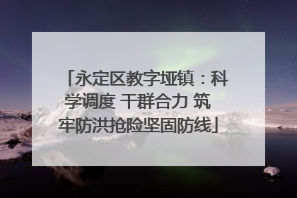 永定区教字垭镇：科学调度 干群合力 筑牢防洪抢险坚固防线