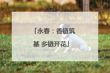 永春：香链筑基 多链开花